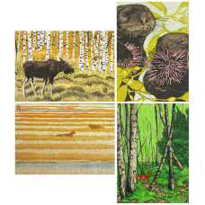 Andrea Rich Woodcut Animals Variety Notecard (12 Pack)