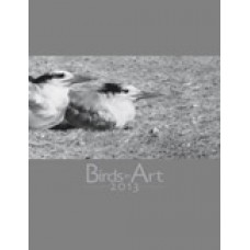 Birds in Art 2013 Catalogue