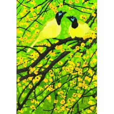 Andrea Rich, Green Jays Notecard (12 Pack) 