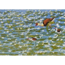 Andrea Rich, Comb-crested Jacana Notecard (12 Pack)